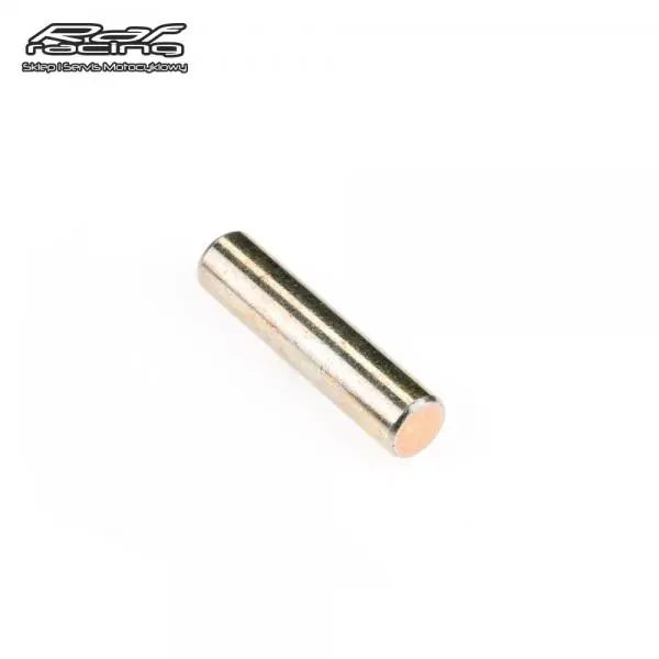 Bezpieczna płatność Pin rolki Ski-Doo 6x34mm