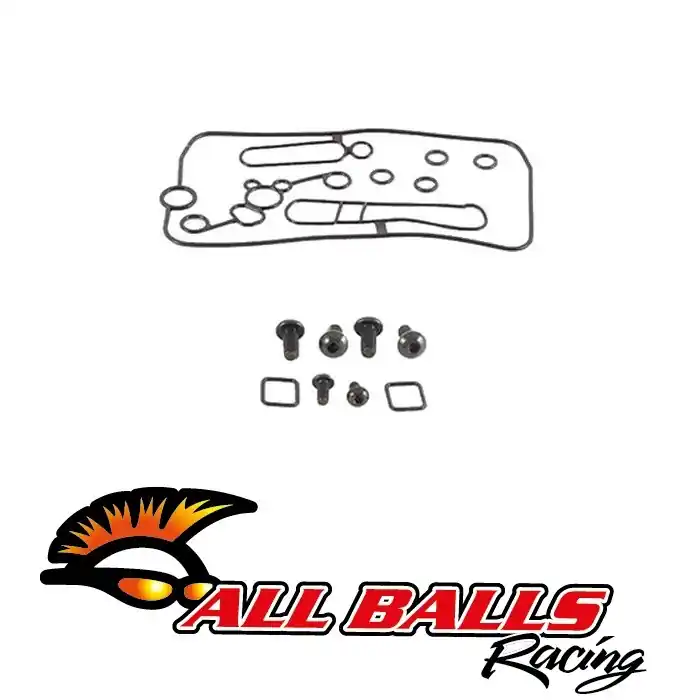 Szybka dostawa All Balls Zestaw naprawczy gaźnika CRF250/450 KX250/450F KLX450R RMZ250 26-1510