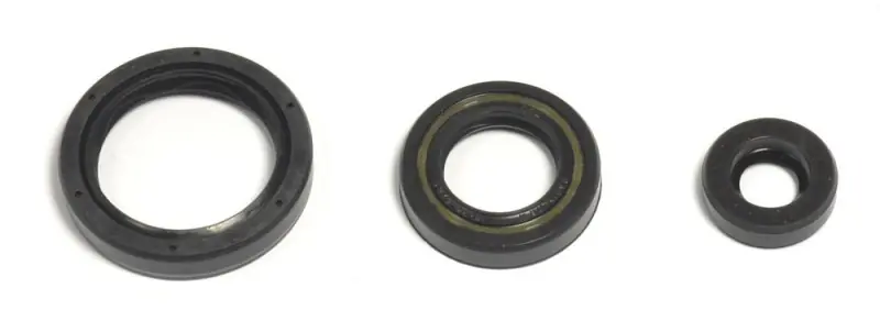 ATHENA KOMPLET (ZESTAW) USZCZELNIACZY SILNIKOWYCH HUSQVARNA TE/TC 250 10-14, TE/TXC 310 11-14 Oferta limitowana